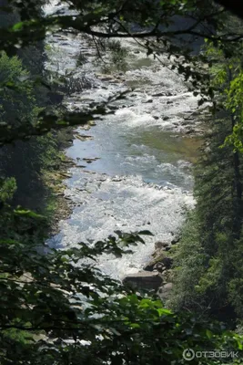 Sure, here are 20 unique titles for a photo page on the topic of Река прут (River Prut) related to images such as Фото, картинка, изображение, фотка, фотография, обои на телефон, обои на рабочий стол, фон, рисунок, арт, HD, Full HD, 4K, 2024, Скачать, бесплатно, в хорошем качестве, фото на айфон, фото на андроид, android, ios, windows, mac: