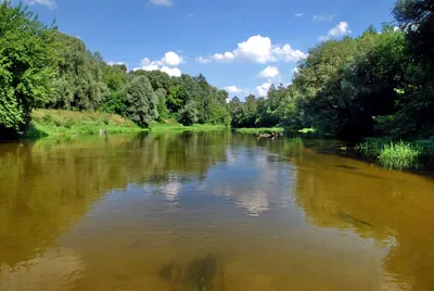 Удивительные виды реки Псел на фото