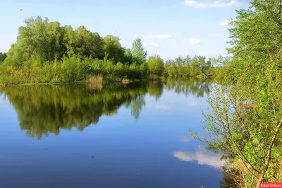 Исследуйте великолепие реки Псел на фото