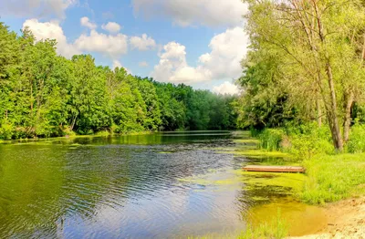 Потрясающие фотки реки Псел