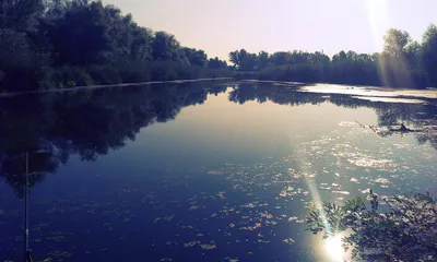 Очаровательные картинки реки Псел: красота в одной фотографии