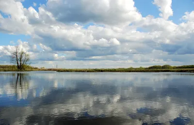 Очарование плавания на Реке Псел