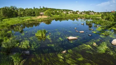 Загадочная красота Реки рось на фотографиях