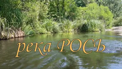 Фон Реки Рось для телефона: Full HD обои