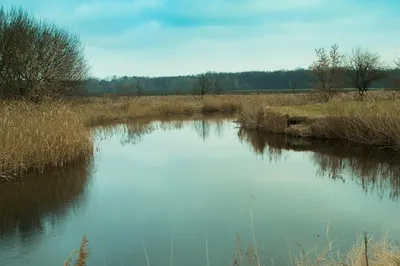 Скачать бесплатно фото реки Рось на андроид