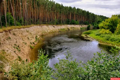 Фото Реки Сейм в Курской области: Красивые обои для рабочего стола