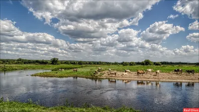 Удивительные фотографии Реки Сейм в Курской области: Впечатляющие фоны