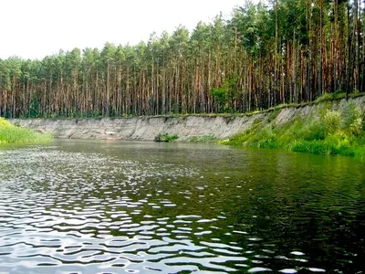 Удивительные виды реки Сейм в Курске