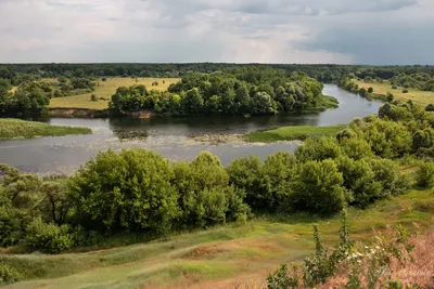 Фотографии живописной реки Сейм в Курске