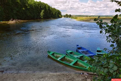 Откройте для себя реку Сейм в Курской области на фото