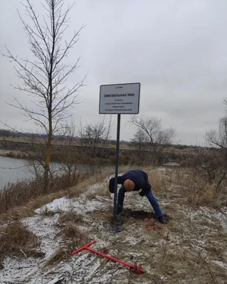 Фотографии реки Сейм: встреча с природой Курска