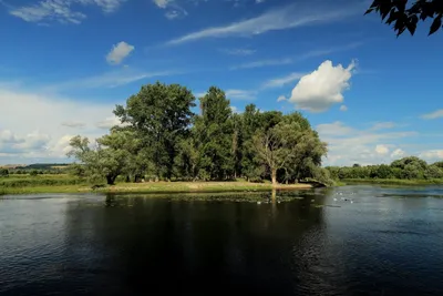 Фото реки Сейм в Курской области в хорошем качестве