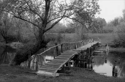 Красота Реки Сейм в Курской области: 20 уникальных фотографий