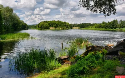 Исследуйте красоту Реки Сейм в Курской области через фотографии