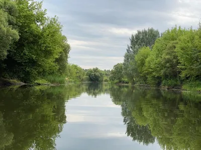 Удивительные виды реки Сейм на фото