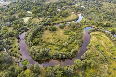 Великолепные пейзажи реки Сейм на фото