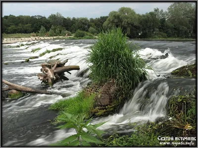 Отражение красоты реки Сейм на фотографиях