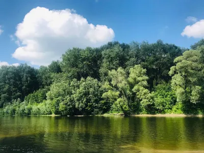 Загадочные моменты реки Сейм на фото