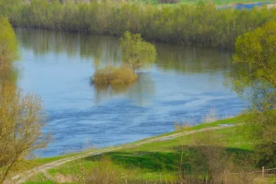 Фото Реки Сейм в формате jpg - высокое качество