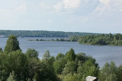 Украшение природы: фотографии Реки Шексна