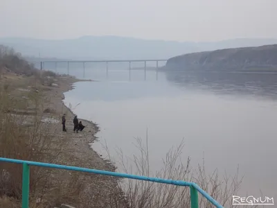 Река Шилка в объективе: захватывающие фотографии