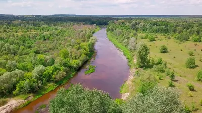 Фото: Путешествие по Реке снов