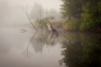 Бесплатные фоны с изображением реки