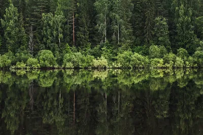 Скачать бесплатные гифки с фото реки Сухона - захватывающие моменты