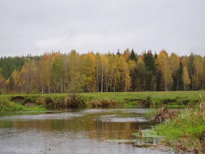 Фото Реки Сула: Природные чудеса в 4K качестве