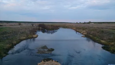 Природа Реки теча: Удивительные фотографии для вашего экрана