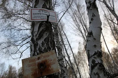 Река теча: Приключение и красота в одном месте