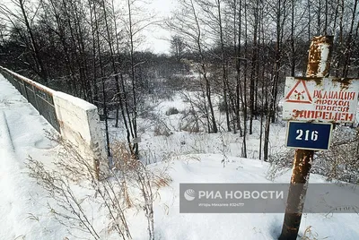 Река теча: Волшебство природы в объективе