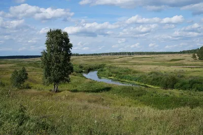 Фотки реки в арт-стиле - уникальные рисунки