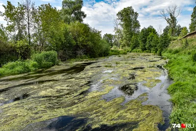 Рисунок реки в стиле арт