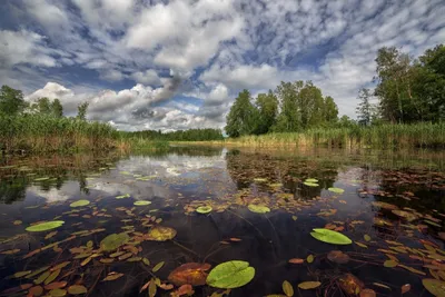 Фото на айфон с красивой рекой