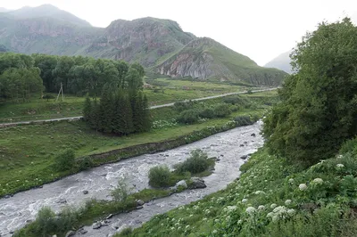 Красота природы: Фото Реки Терек во всей своей величественности