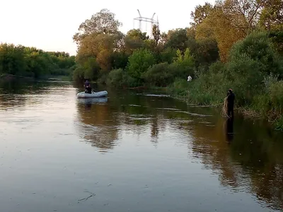 Безмятежная красота Реки Тетерев в объективе фотографа