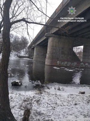 Фото реки Тетерев в девственной природе