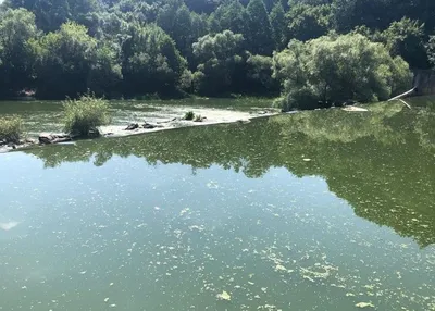 Воды вдохновения: Фотография Реки Тетерев