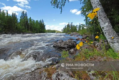 Фото Реки Умба: Живописный вид на природное чудо