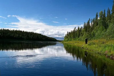 Фотосессия у великолепной реки Умба