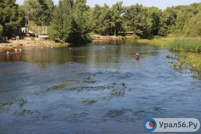 Исследование реки Урал: фотоотчет