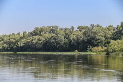 4K фотографии Реки Урал: Высокое качество изображений