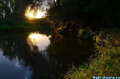 Природное великолепие: Фотографии Реки Урюк