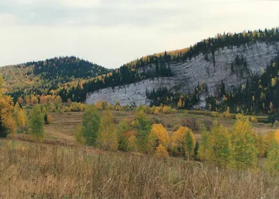 Sure, here are 20 unique titles for a page with photos on the topic of Usva River in Russian: