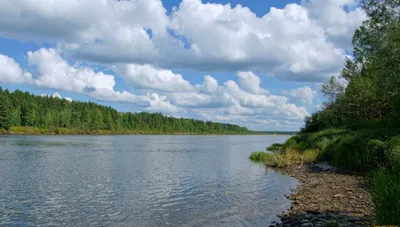 Великолепные пейзажи реки Ветлуга на фото