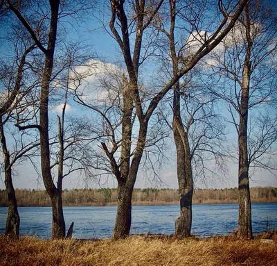 Фотографии реки Ветлуга: вдохновение для путешествий