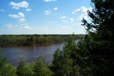 Встреча с рекой Ветлуга на фото