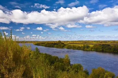 Фотография реки Вятка в природном окружении