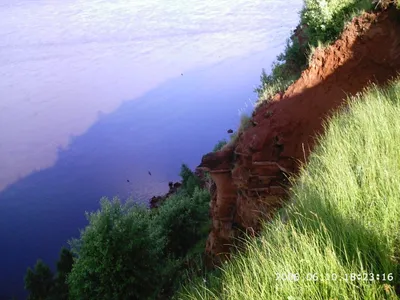 Фотография реки Вятка с плавающими лебедями